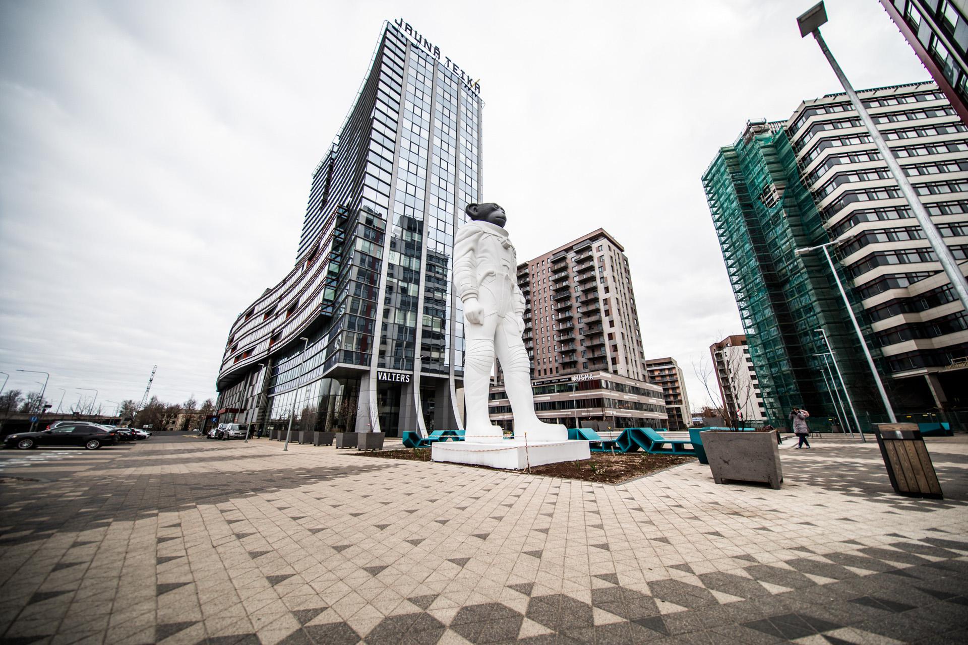 portfolio image