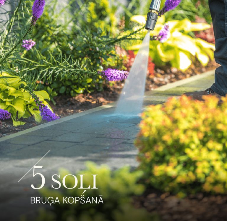 How to properly maintain paving?